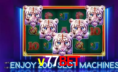 v77bet cassino online